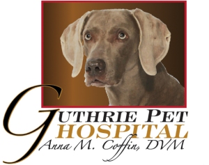 Anna Coffin is the Veterinarian at Guthrie Pet Hospital and can be contacted at (405) 282-8796.