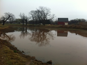 After months of being dried up, the pond has water in its banks.